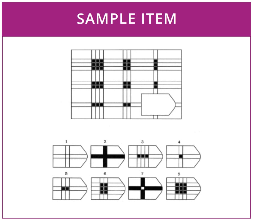 Raven's Advanced Progressive Matrices (APM III)